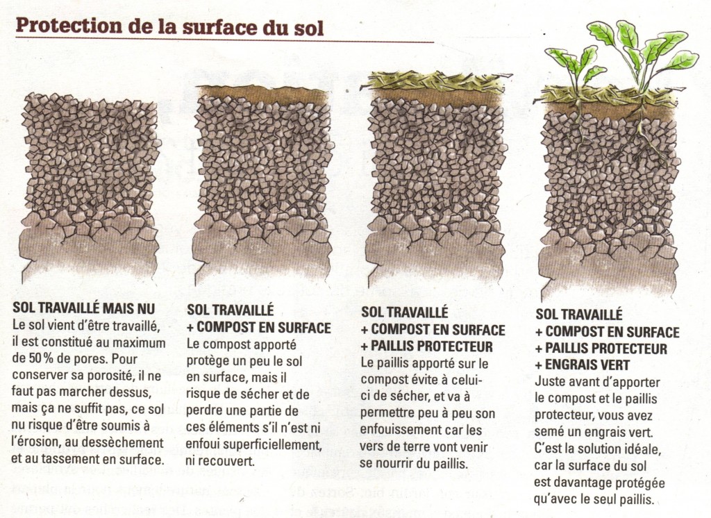 Protection_Surface-du-Sol_Centre-Terre-Vivante